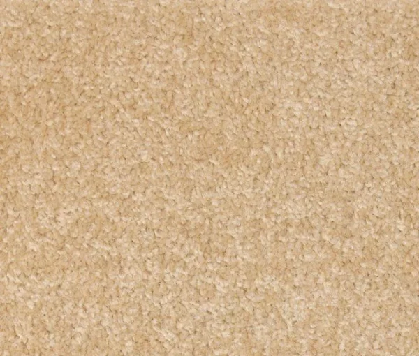 319 Berber-carpet-flooring-supplies in ipswich colchester